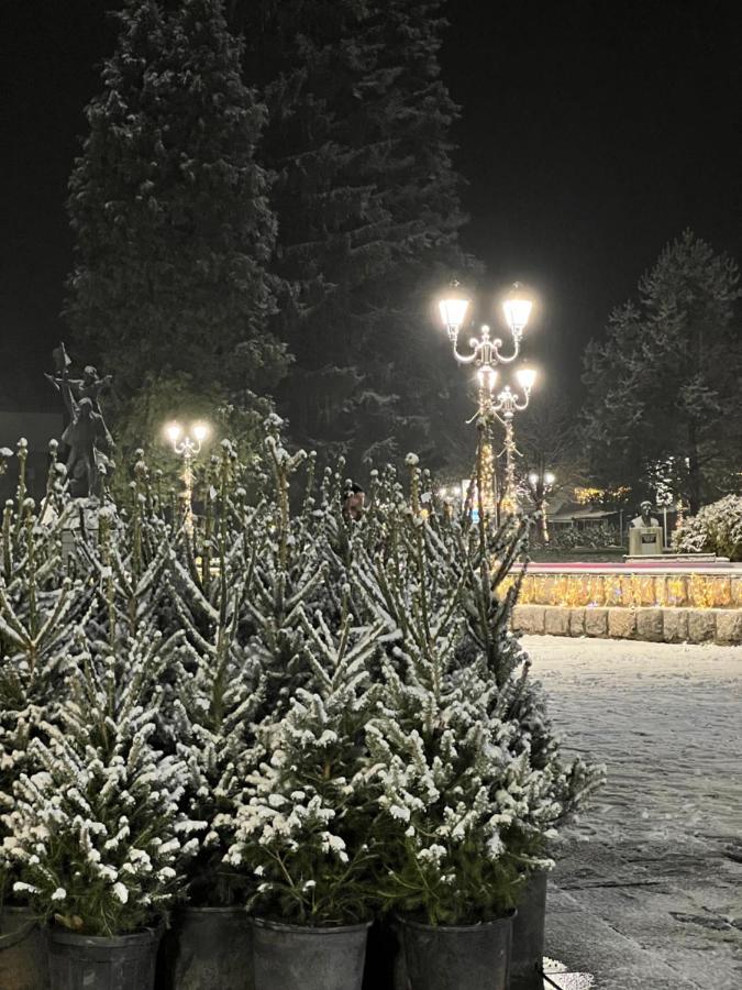 Laf Guest House Колашин Екстер'єр фото